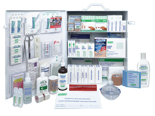 FEDERAL WORKPLACE STANDARD KIT - METAL