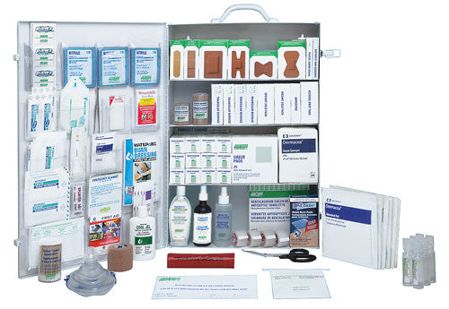 FEDERAL WORKPLACE DELUXE KIT - METAL