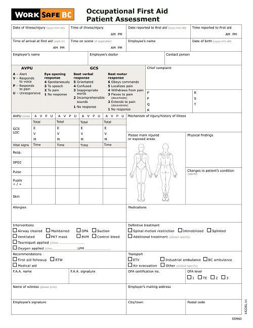 Patient Assessment Chart 18/Package