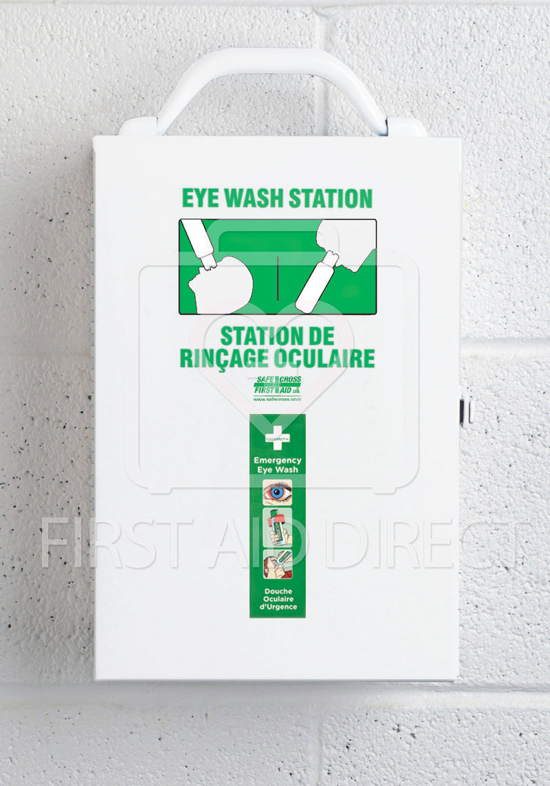 EYE WASH METAL STATION, w/2 CEDERROTH 500 mL EYE WASH