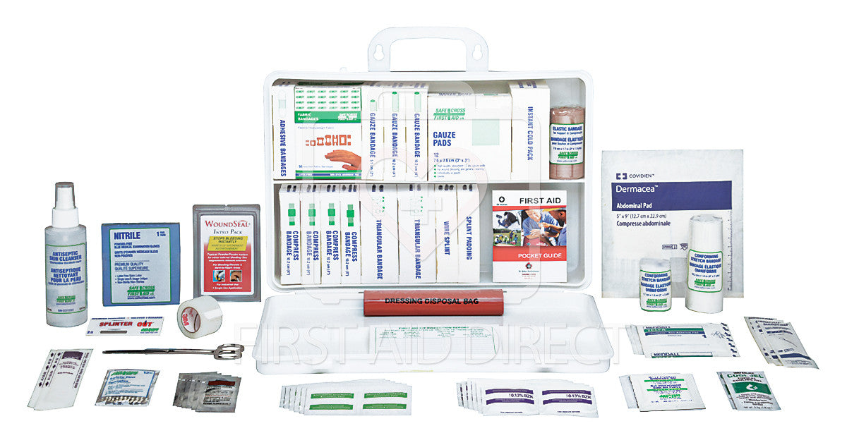 Ontario Section 9 Deluxe First Aid Kit | Plastic Case | WSIB Compliant ...